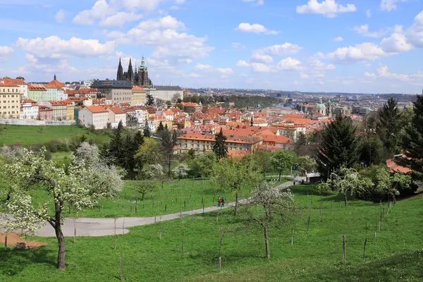 Vue sur le printemps Château gothique de Prague avec la nature verte et les arbres à fleurs, République tchèque — Photo