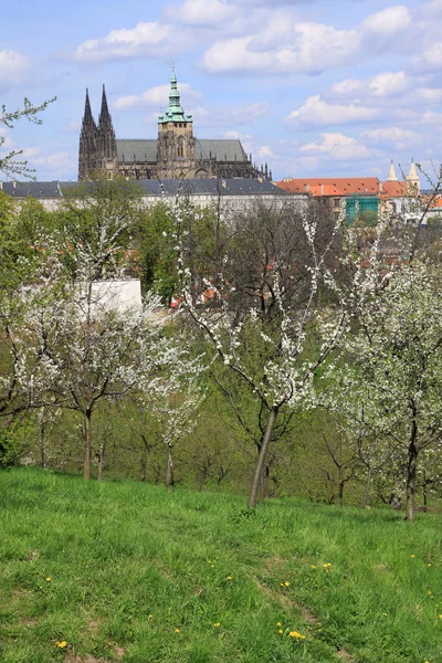 Pohled na jaře Praze gotický hrad s zelené přírody a kvetoucích stromů, Česká republika — Stock fotografie