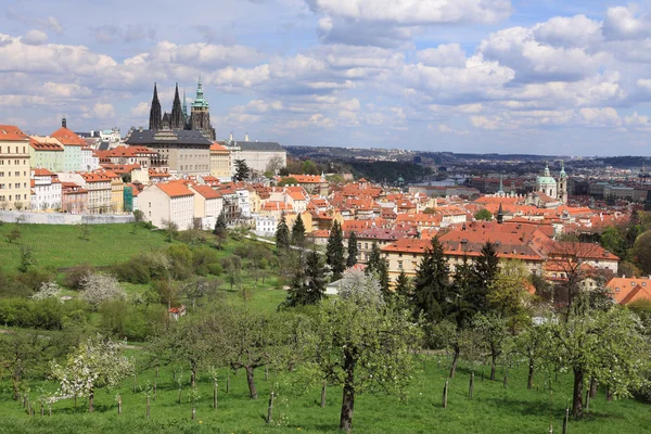 ばねのビューと緑の自然、花盛りの木、チェコ共和国プラハ ゴシック様式城 — ストック写真