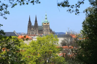 zicht op het voorjaar gotische burcht van Praag met de groene natuur en bloeiende bomen, Tsjechië
