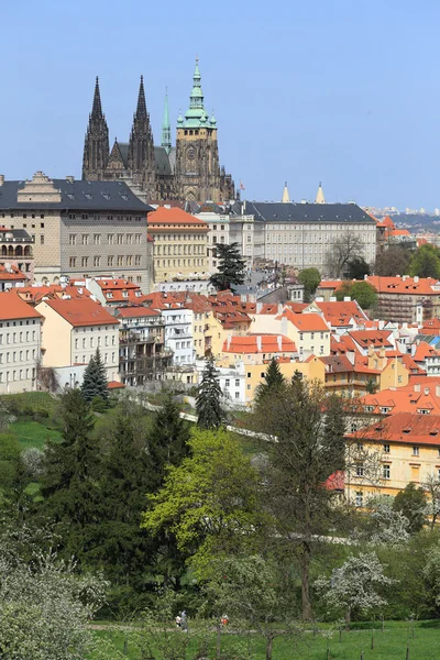 Vista sobre a primavera Castelo gótico de Praga com a natureza verde e árvores floridas, República Checa — Fotografia de Stock