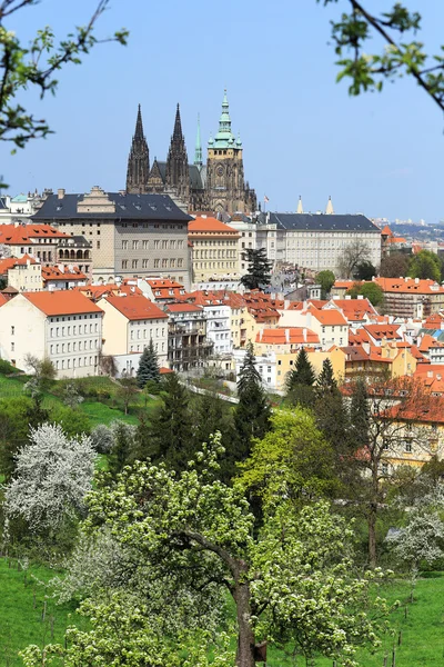 View on the spring Prague gothic Castle with the green Nature and flowering Trees, Czech Republic — Stock Photo, Image