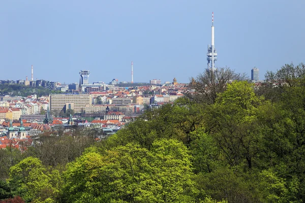 View on the spring Prague City, Czech Republic — Stock Photo, Image