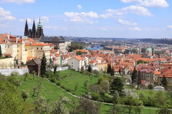 Вид на родниковый готический замок с зеленой природой и цветущими деревьями, Чехия — стоковое фото