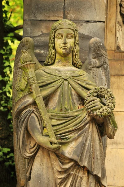 Ангел со старого Пражского кладбища, Чехия — стоковое фото