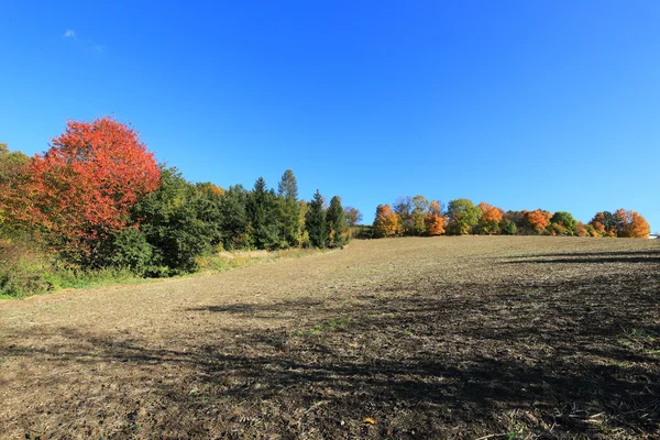 Colorful autumn Landscape with blue Sky — Stock Photo, Image
