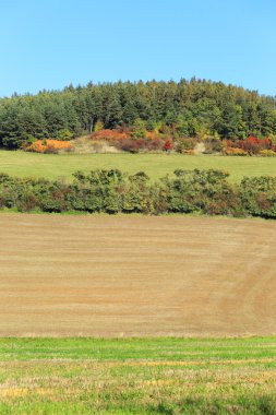 renkli sonbahar manzara mavi gökyüzü ile