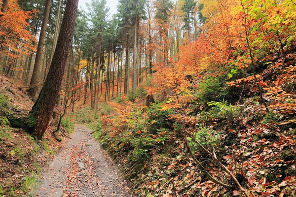 Colorful autumn Landscape in Bohemian Paradise, Czech Republic — Stock Photo, Image