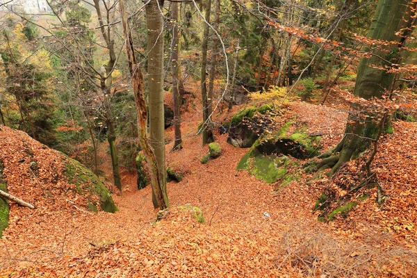 Bunte Herbstlandschaft im böhmischen Paradies, Tschechische Republik — Stockfoto