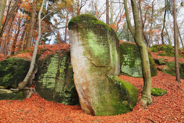 Paysage d'automne coloré dans le paradis bohème, République tchèque — Photo