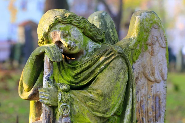 The Angel from the old Prague Cemetery, Czech Republic — Stock Photo, Image