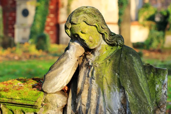 Камінь дівчина на могила від старого Празьке кладовище, Чеська Республіка — стокове фото