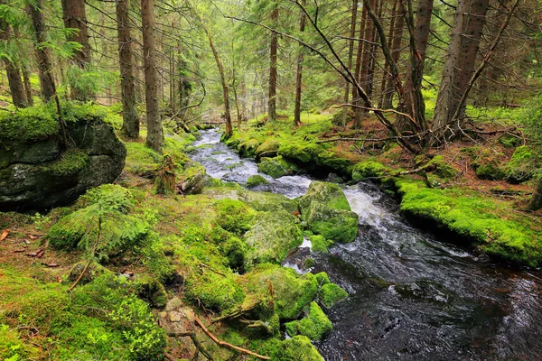 Creek nella bellissima Wilderness, le montagne autunnali Sumava nel sud della Repubblica Ceca — Foto Stock