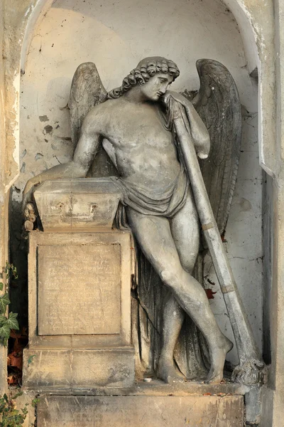 Az angyal a régi temető Prága, Cseh Köztársaság — Stock Fotó