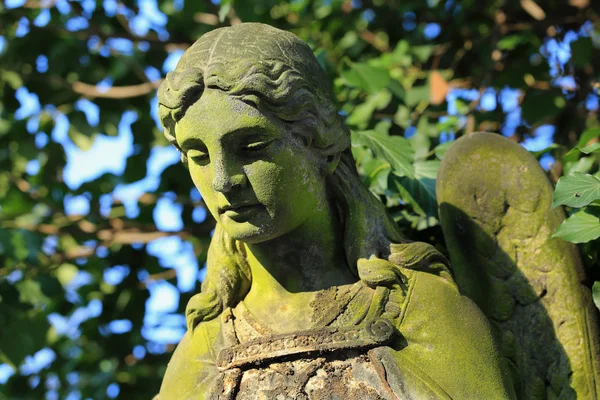 L'angelo del vecchio cimitero di Praga, Repubblica Ceca — Foto Stock