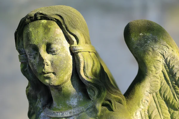 プラハの古い墓地、チェコ共和国からの天使 — ストック写真