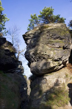 Kuzey Bohemya 'daki kumtaşı dağlarında güzel sonbahar manzarası, Tisa Kayaları, Çek Cumhuriyeti