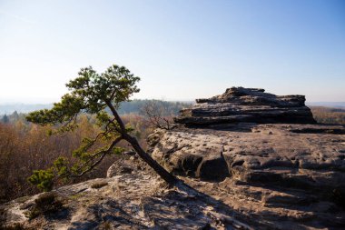 Kuzey Bohemya 'daki kumtaşı dağlarında güzel sonbahar manzarası, Tisa Kayaları, Çek Cumhuriyeti