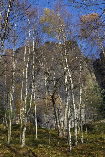 Piękny Jesienny Krajobraz Piaskowcowych Górach Północnych Czechach Tisa Skały Czechy — Zdjęcie stockowe