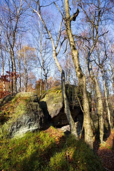 Vacker Höst Landskap Sandstensbergen Norra Böhmen Tisa Rocks Tjeckien — Stockfoto