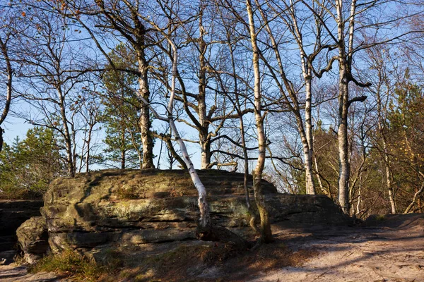 Vacker Höst Landskap Sandstensbergen Norra Böhmen Tisa Rocks Tjeckien — Stockfoto