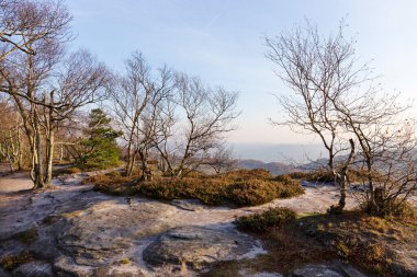 Kuzey Bohemya 'daki kumtaşı Dağları' ndaki güzel sonbahar Doğa ve Manzara, Elbe kumtaşı, Çek Cumhuriyeti 'nin koruma altındaki Peyzaj Bölgesi