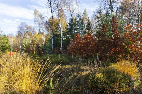 Beautiful Autumn Nature Landscape Sandstone Mountains North Bohemia Elbe Sandstone — Stock Photo, Image