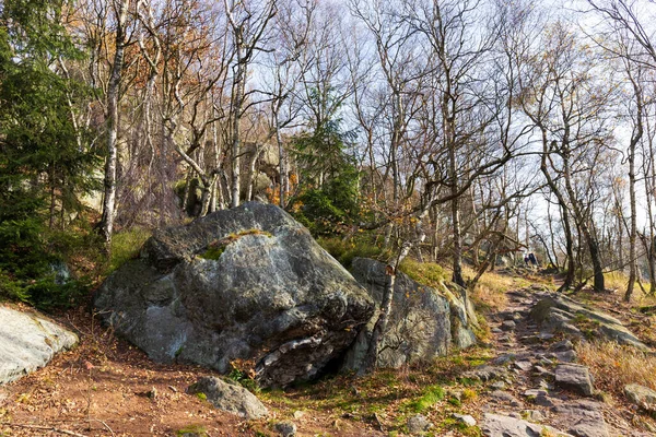 Vacker Höst Natur Och Landskap Sandstensbergen Norra Böhmen Elbe Sandsten — Stockfoto