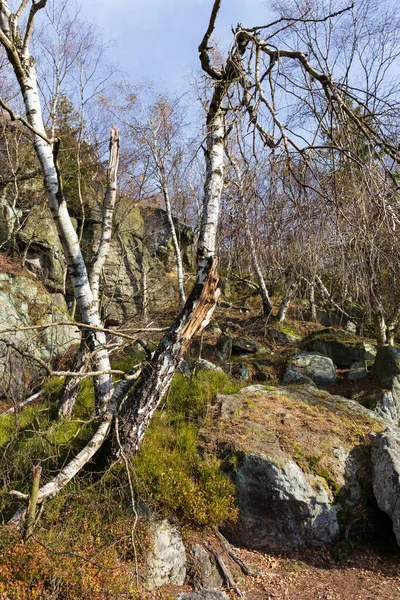 Bellissimo Autunno Natura Paesaggio Nelle Montagne Arenaria Nel Nord Della — Foto Stock