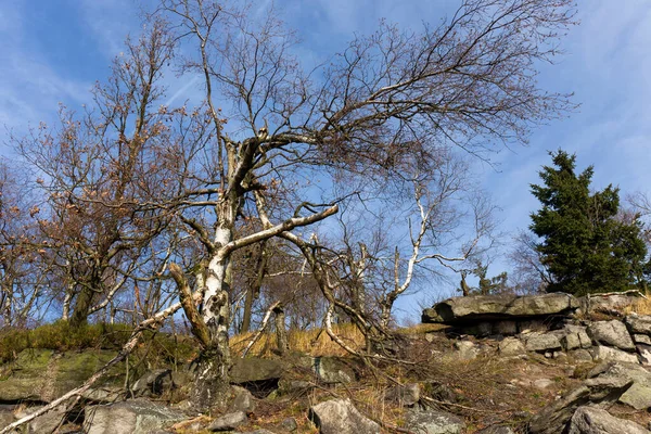 Bellissimo Autunno Natura Paesaggio Nelle Montagne Arenaria Nel Nord Della — Foto Stock