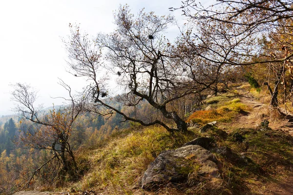 Bel Automne Nature Paysage Dans Les Montagnes Grès Dans Nord — Photo