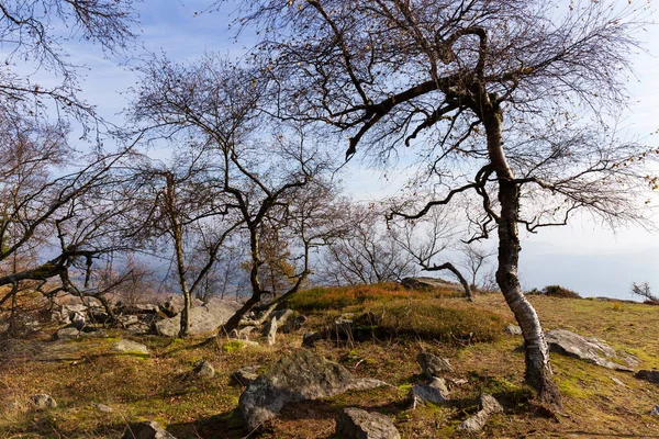 Kuzey Bohemya 'daki kumtaşı Dağları' ndaki güzel sonbahar Doğa ve Manzara, Elbe kumtaşı, Çek Cumhuriyeti 'nin koruma altındaki Peyzaj Bölgesi