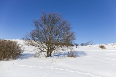 Kışın güneşli Ticha Sarka, Prag 'da Doğa Koruma Alanı