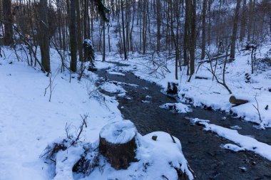 Kışın güneşli Ticha Sarka, Prag 'da Doğa Koruma Alanı