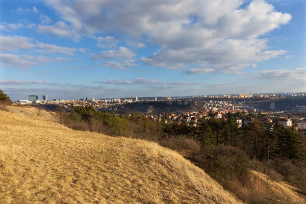 Inverno Praga Cidade Colina Devin Dia Ensolarado República Checa — Fotografia de Stock