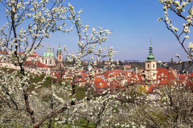 Çek Cumhuriyeti 'nin Petrin Tepesi' nden renkli ağaçlarla İlkbahar Prag Şehri