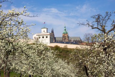 Prag İlkbaharı Gotik Şatosu ve Çekoslovakya 'nın Petrin Tepesi' nden çiçek açan ağaçları olan renkli doğası ile