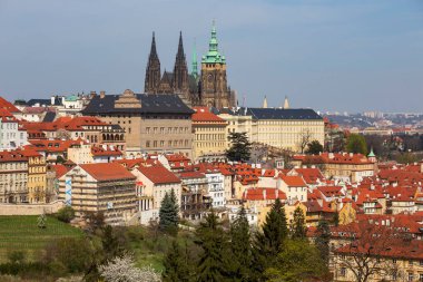 Prag İlkbaharı Gotik Şatosu ve Çekoslovakya 'nın Petrin Tepesi' nden çiçek açan ağaçları olan renkli doğası ile