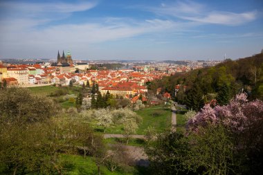 Prag İlkbaharı Gotik Şatosu ve Çekoslovakya 'nın Petrin Tepesi' nden çiçek açan ağaçları olan renkli doğası ile