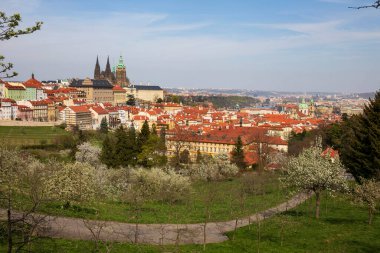 Prag İlkbaharı Gotik Şatosu ve Çekoslovakya 'nın Petrin Tepesi' nden çiçek açan ağaçları olan renkli doğası ile