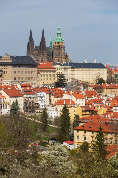 Spring Prague City Com Castelo Gótico Natureza Colorida Com Árvores — Fotografia de Stock