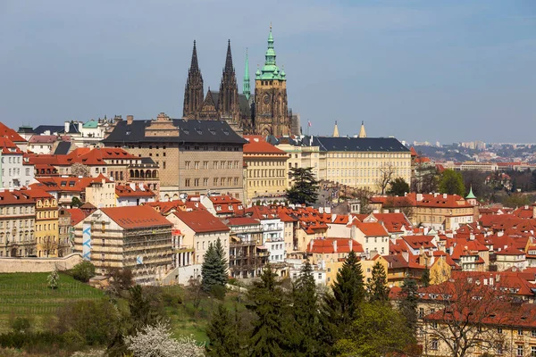 Spring Prague City Gothic Castle Colorful Nature Flowering Trees Hill — Fotografia de Stock
