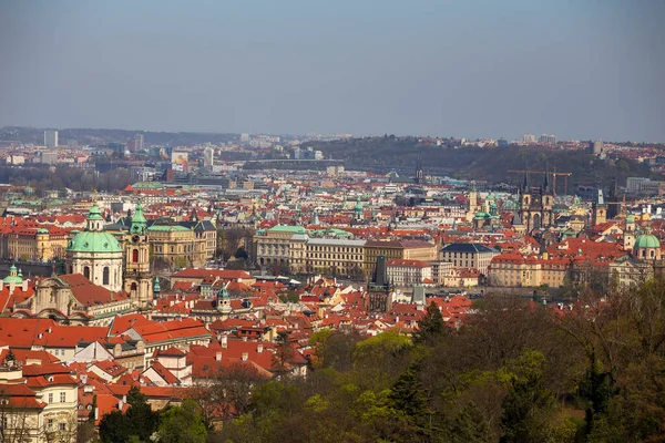 Spring Prague City Colorful Trees Hill Petrin Czech Republic — Fotografia de Stock