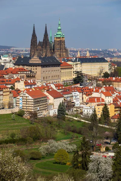 Spring Prague City Com Castelo Gótico Natureza Colorida Com Árvores — Fotografia de Stock