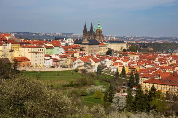 Spring Prague City Gothic Castle Colorful Nature Flowering Trees Hill — стокове фото