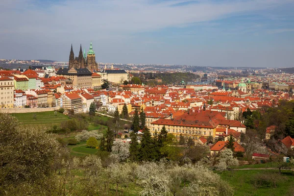 Wiosna Miasto Praga Gotyckim Zamkiem Kolorowa Przyroda Kwitnącymi Drzewami Wzgórza — Zdjęcie stockowe