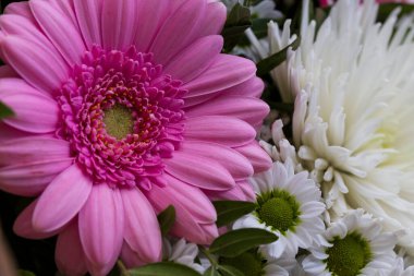 Renkli Çiçeklerin Ayrıntıları 