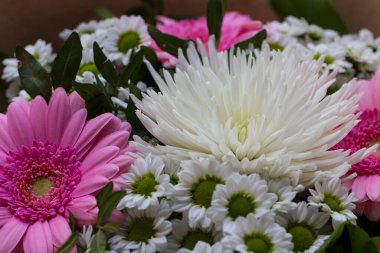 Renkli Çiçeklerin Ayrıntıları 