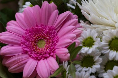 Renkli Çiçeklerin Ayrıntıları 