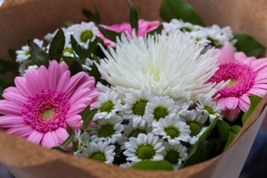 Renkli Çiçeklerin Ayrıntıları 